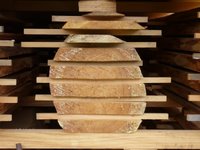 Ausgangsmaterial - Holz